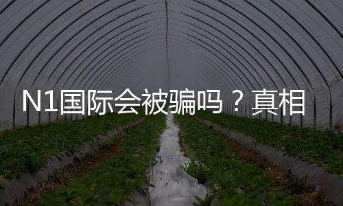 N1国际会被骗吗?真相揭晓与防骗实用攻略