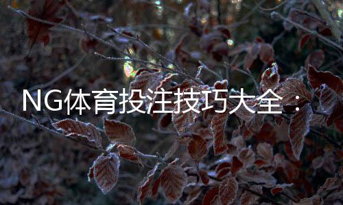 NG体育投注技巧大全：新手必学投注技巧、实战策略与避坑指南