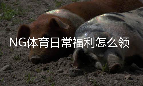 NG体育日常福利怎么领取？新手必看领取攻略与注意事项