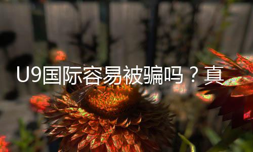 U9国际容易被骗吗？真实用户评测、常见骗局与防骗攻略