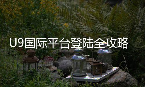 U9国际平台登陆全攻略：官网登录步骤、新手注册与常见问题快速解决