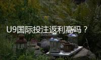 U9国际投注返利高吗？返利机制解析与真实收益测算