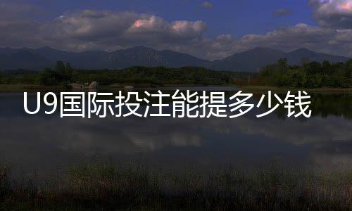 U9国际投注能提多少钱？提现额度、到账时间与手续费全解析