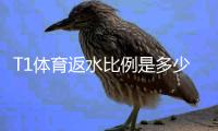 T1体育返水比例是多少？最新返水率、计算方法与领取攻略