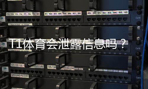 T1体育会泄露信息吗？真相调查与用户隐私保护全攻略