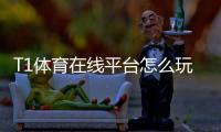 T1体育在线平台怎么玩？新手注册、充值与投注全攻略