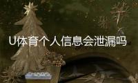 U体育个人信息会泄漏吗？深度解析平台安全性与防护措施