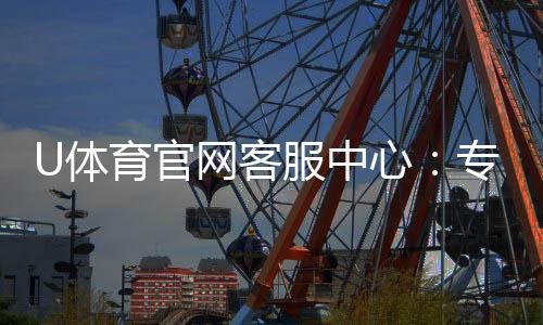 U体育官网客服中心：专业服务与高效问题解决指南