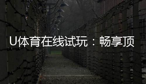 U体育在线试玩：畅享顶级电子游艺的试玩乐趣