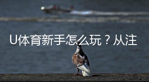 U体育新手怎么玩？从注册到实战的完整入门指南