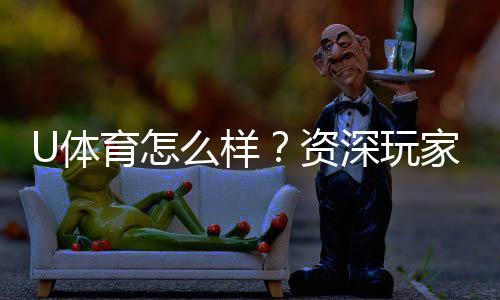 U体育怎么样？资深玩家带你全面评测平台优劣势