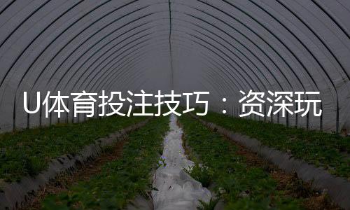 U体育投注技巧：资深玩家分享的实战盈利策略