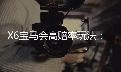 X6宝马会高赔率玩法：揭秘高回报电子游艺实战技巧