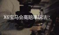 X6宝马会高赔率玩法：揭秘高回报电子游艺实战技巧