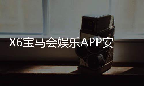 X6宝马会娱乐APP安全性如何？深度解析其资金保障与数据防护措施