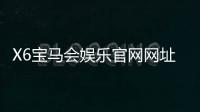 X6宝马会娱乐官网网址：畅享豪华电游盛宴与棋牌乐趣