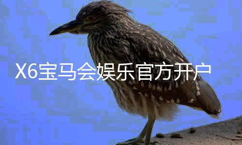 X6宝马会娱乐官方开户：豪华体验与高额返水等你来享