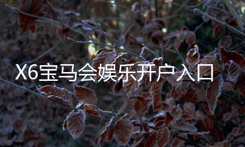 X6宝马会娱乐开户入口：畅享豪华游戏体验的快速通道