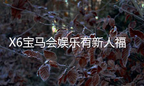 X6宝马会娱乐有新人福利吗？新会员注册即享多重豪礼