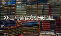 X6宝马会官方登录地址：畅享豪华电游体验与精准投注乐趣