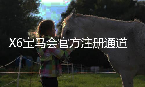 X6宝马会官方注册通道：畅享豪华电竞赛事与真人娱乐新体验