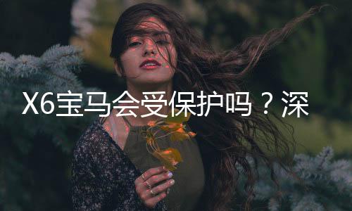 X6宝马会受保护吗？深度解析其安全性与玩家保障措施