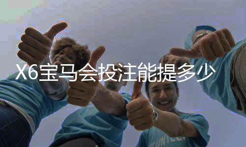 X6宝马会投注能提多少钱？揭秘提款额度与到账时间