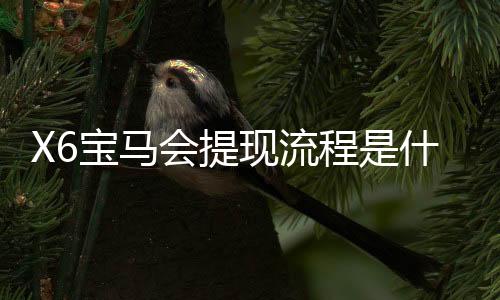 X6宝马会提现流程是什么？手把手教你快速到账技巧