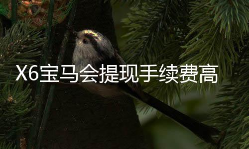 X6宝马会提现手续费高吗？资深玩家解析费用标准与到账时效