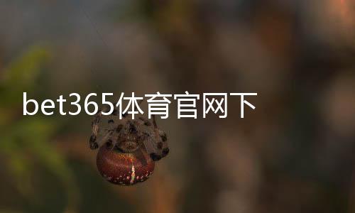 bet365体育官网下载指南：官方APP安卓iOS安装步骤与常见问题解答