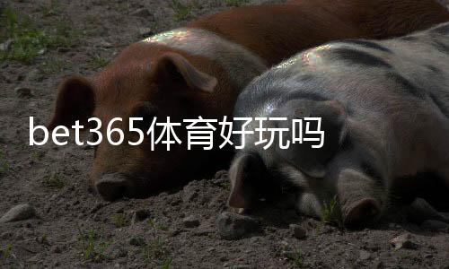 bet365体育好玩吗？真实体验评测：玩法亮点、优缺点与新手入门指南