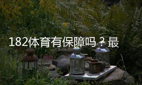 182体育有保障吗？最新安全性评测与用户评价全解析