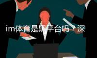 im体育是黑平台吗？深度解析其安全性及玩家真实体验