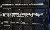im体育是正版入口吗?资深玩家揭秘平台安全性与游戏体验