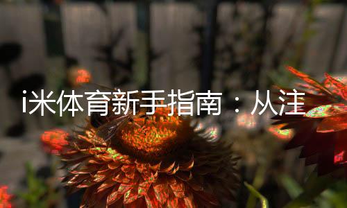 i米体育新手指南：从注册到投注的完整流程与实用攻略