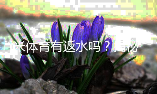 i米体育有返水吗？揭秘返水规则与领取攻略