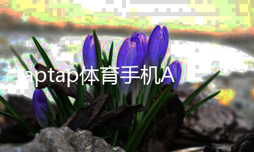 taptap体育手机APP下载与安装教程：安卓苹果最新版快速上手